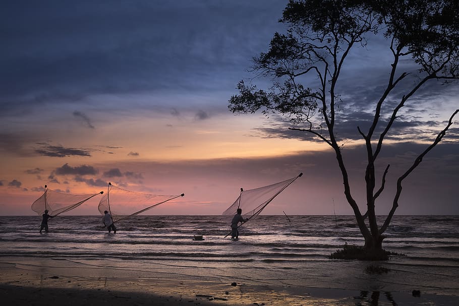 People on Seashore, beach, clouds, dawn, dusk, evening, fish nets HD wallpaper
