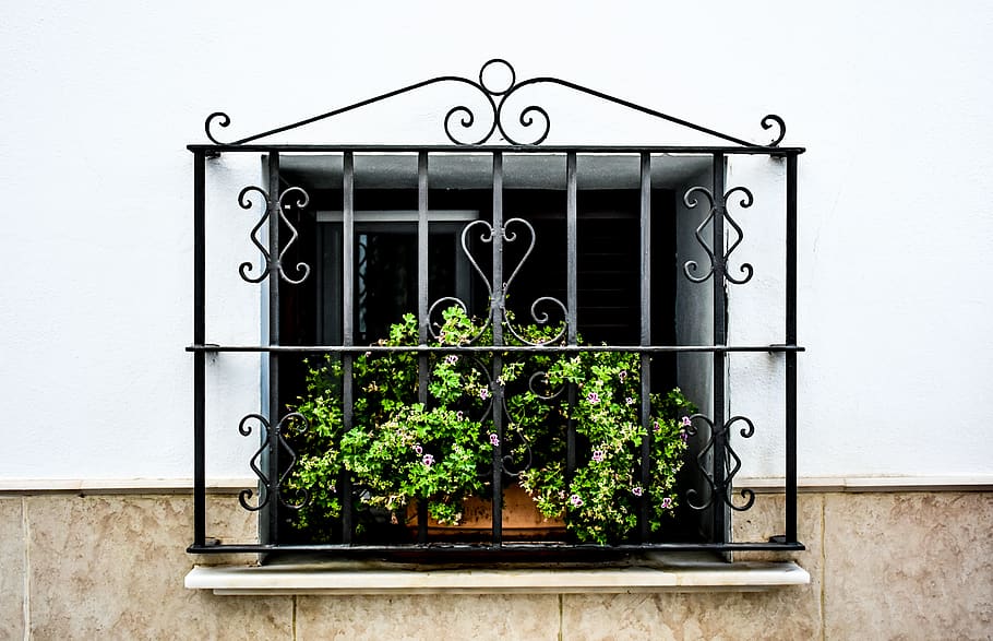 Green-leafed Plant on Window, architecture, building, daylight, HD wallpaper