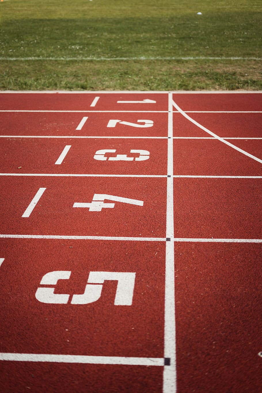Running Field Photography, close-up, grass, ground, line, number HD wallpaper