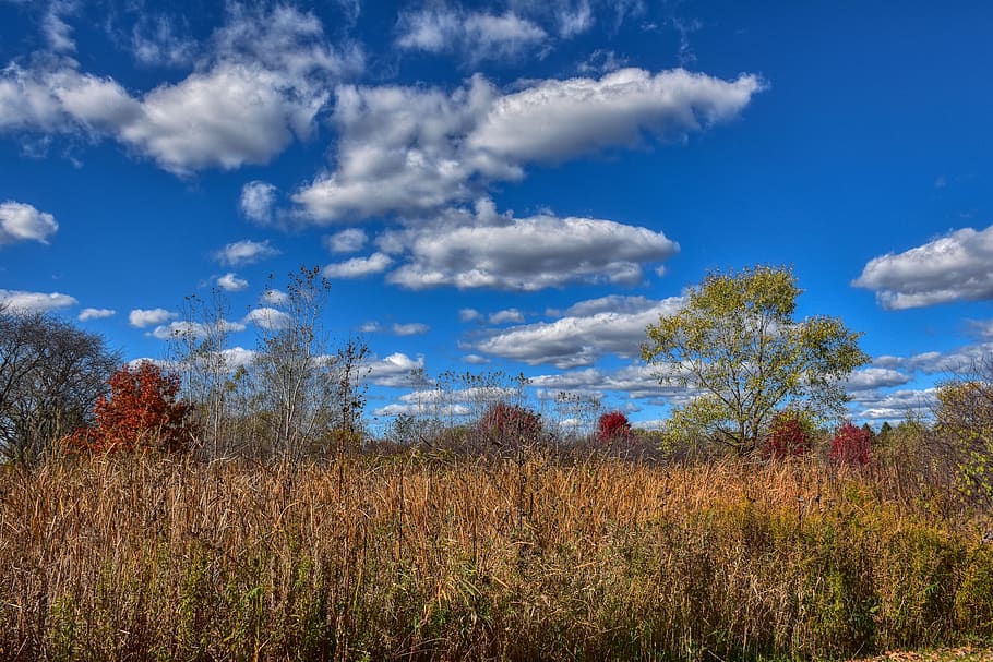 landscape, fall, prairie, nature, field, grass, autumn, sky HD wallpaper