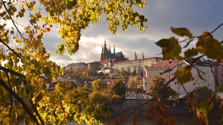 czech republic, prague, tree, architecture, building exterior HD wallpaper