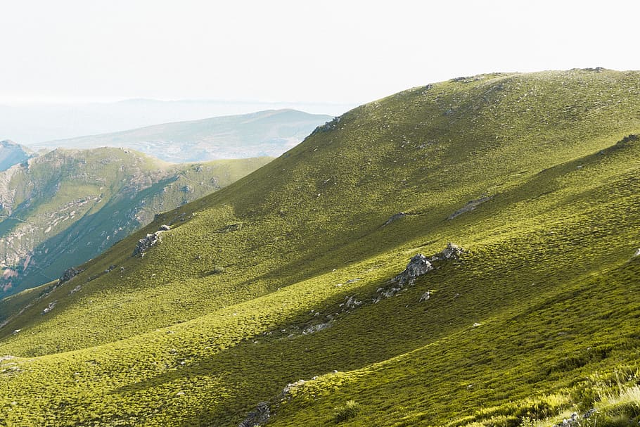 mountains and green grass, hiking, alpine, landscape, hillside HD wallpaper