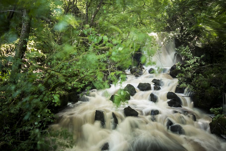 Time-lapse Photography of River Between Trees, beautiful, environment HD wallpaper