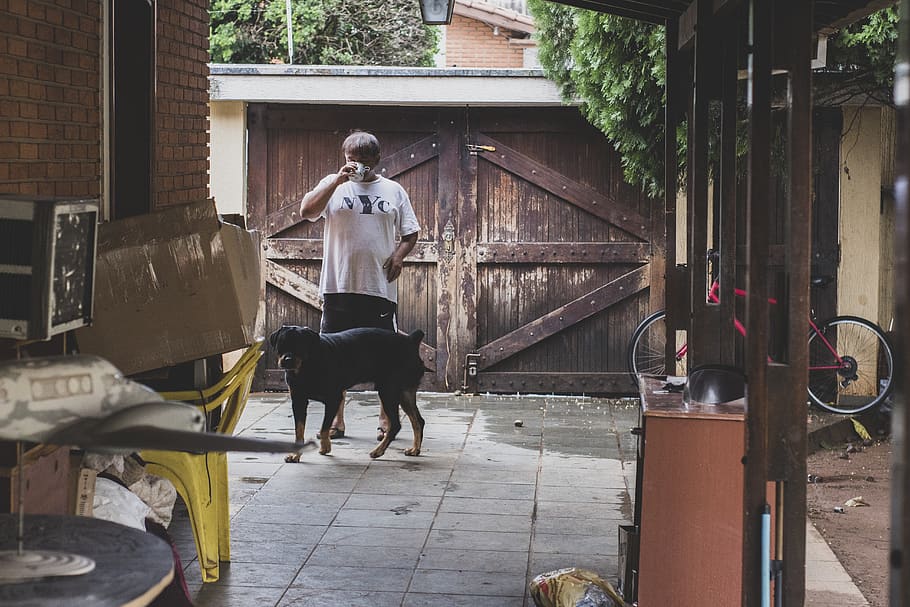 man standing next to dog, architecture, rear view, building exterior HD wallpaper
