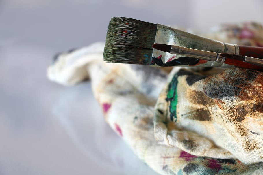 used paint brushes, bird, animal, tool, rags, colours, colors HD wallpaper