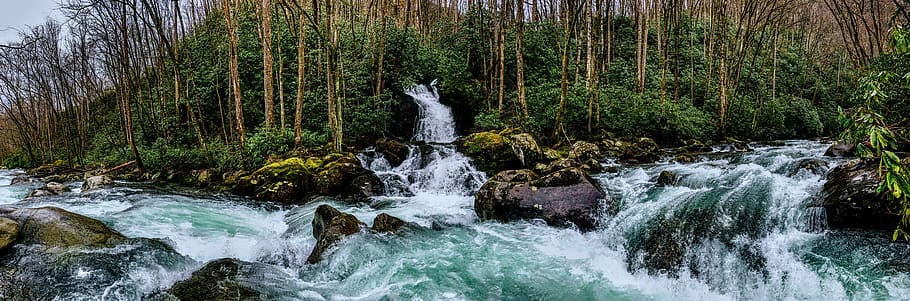 nature, outdoors, stream, river, waterfall, creek, mouse creek falls HD wallpaper