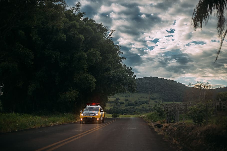 Yellow and White Police Car Lone on the Road, action, asphalt HD wallpaper
