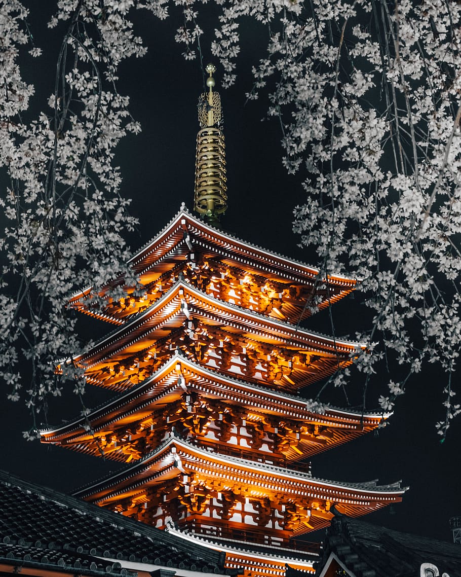 orange pagoda temple, tree, low angle view, architecture, night HD wallpaper
