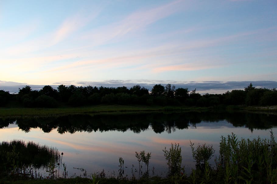 lake, reflection, tree, forest, bush, river, riverside, sky HD wallpaper