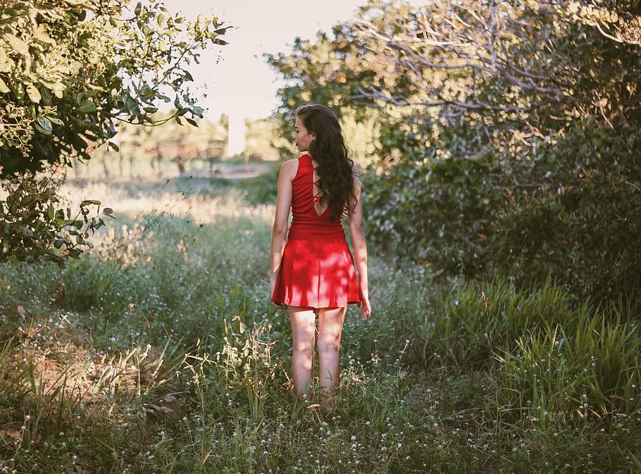 Девочки пойму. Фото красивые на траве стоя. Woman in a Red Dress. Back view. Woman in a Red in the Park back view.