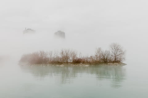A fog covered city waterside with trees and top of the buildings in the background HD wallpaper