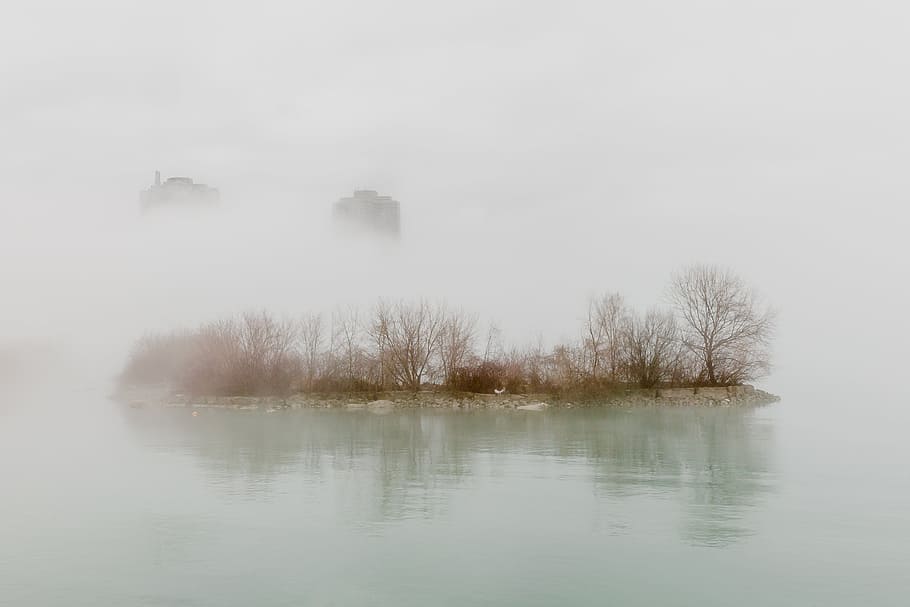 A fog covered city waterside with trees and top of the buildings in the background HD wallpaper