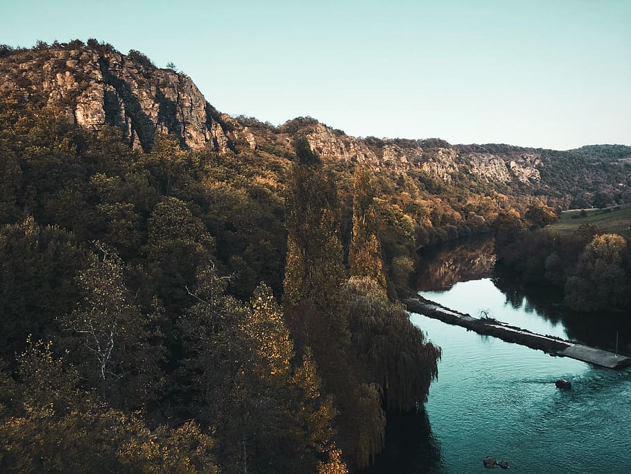 Rocky Mountain and Trees by the Lake, environment, forest, landscape HD wallpaper
