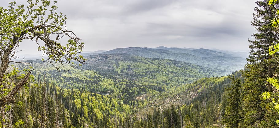 Photo of Green Trees and Mountains during Daylight, cloud, hill HD wallpaper