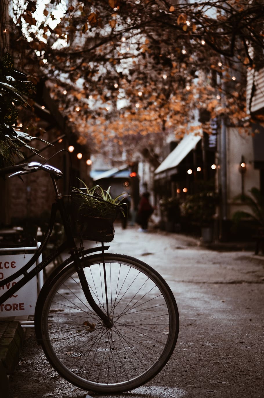 Bike With Basket Parked Near Tree, bicycle, dark, fall, outdoors HD wallpaper