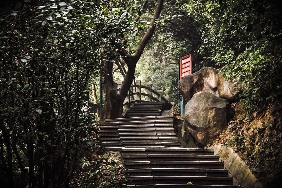 stair with boulder and treeson side, staircase, plant, architecture HD wallpaper