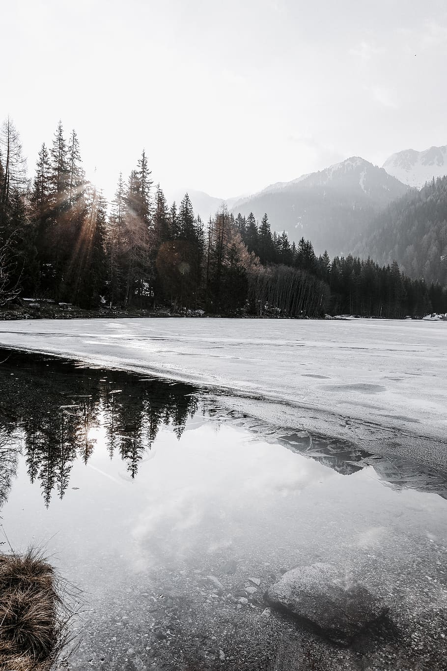 Green Pine Trees Beside Body of Water, altitude, cold, daylight HD wallpaper