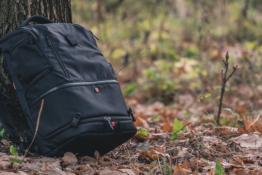Gray Backpack Beside Tree, adventure, daylight, environment, foliage HD wallpaper