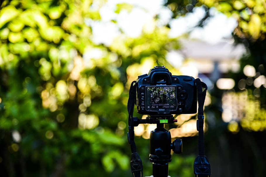 black DSLR camera, focus on foreground, technology, photography themes HD wallpaper