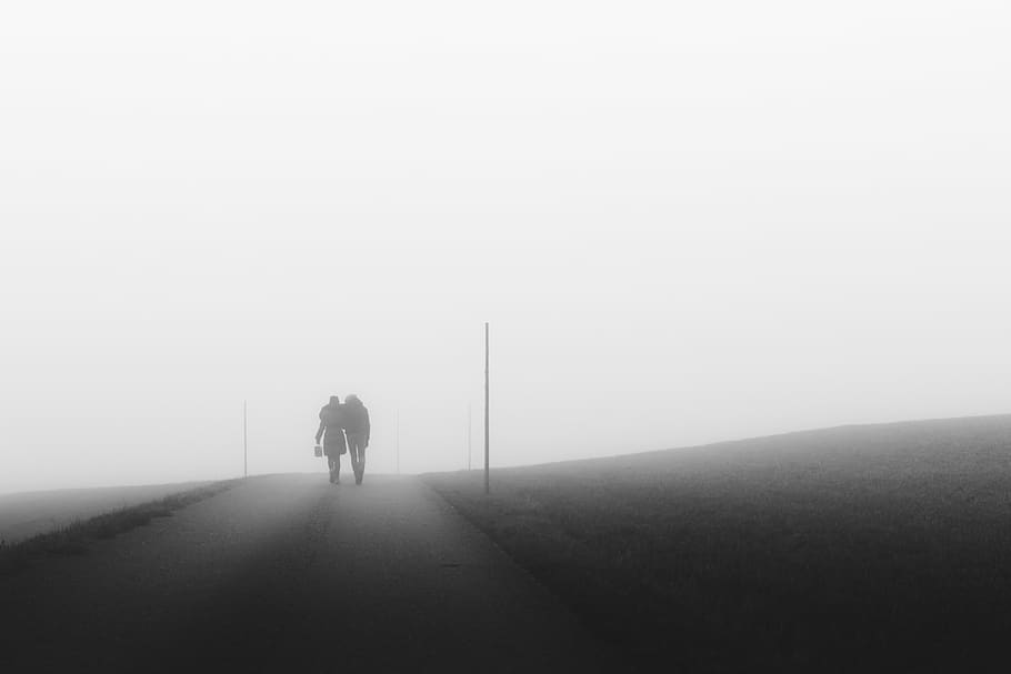fog, mist, outside, nature, landscape, couple, love, together HD wallpaper
