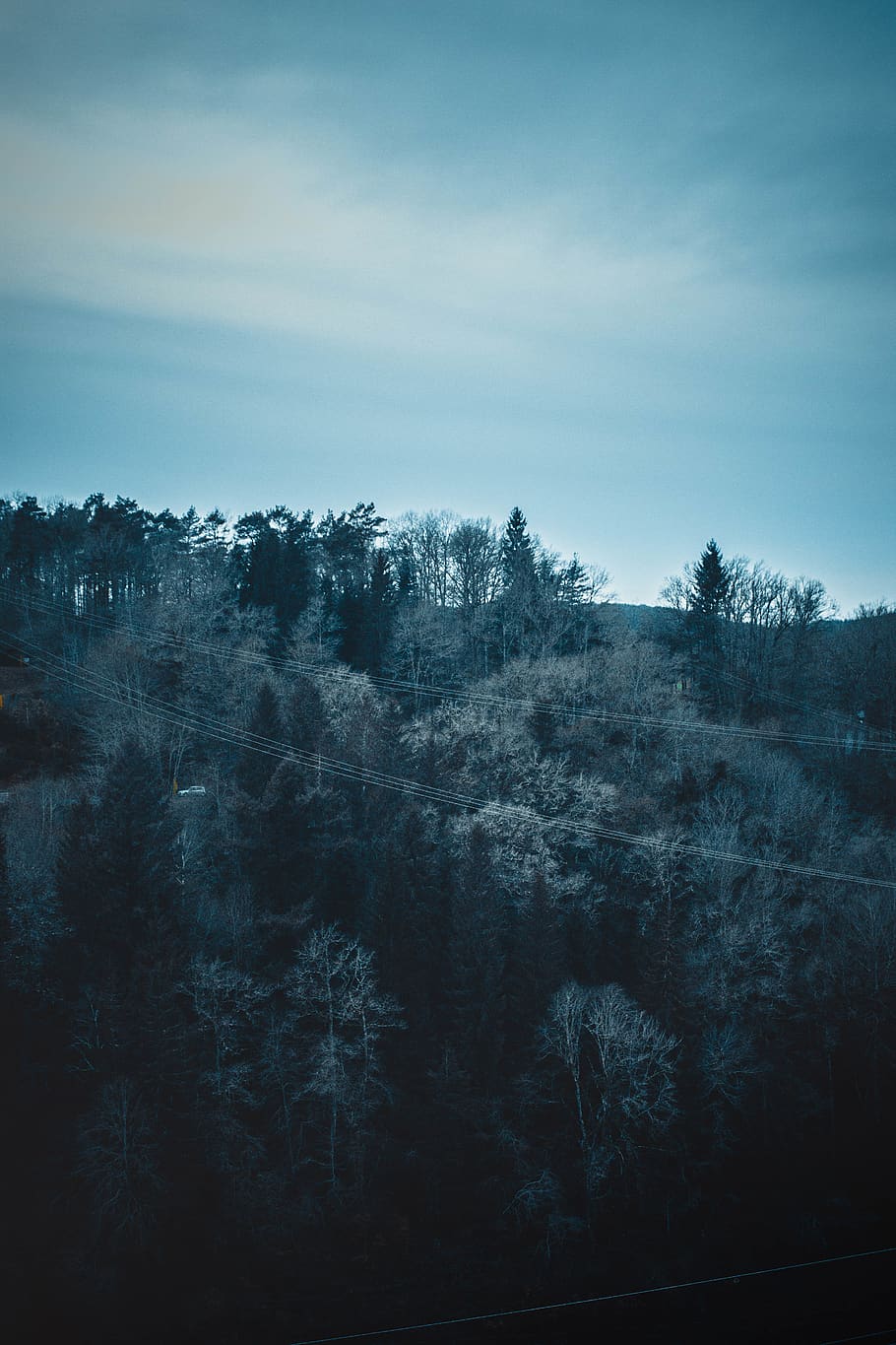 cold, blue, dark, winter, adventure, outdoor, landscape, wallpaper HD wallpaper