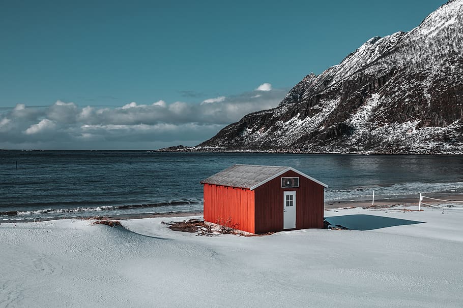 Red and Black Wooden Shed by the Seashore, bay, beach, blue sky HD wallpaper
