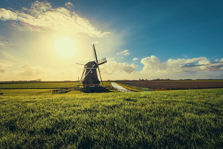 windmill, farm, field, summer, spring, blue sky, green, grass HD wallpaper