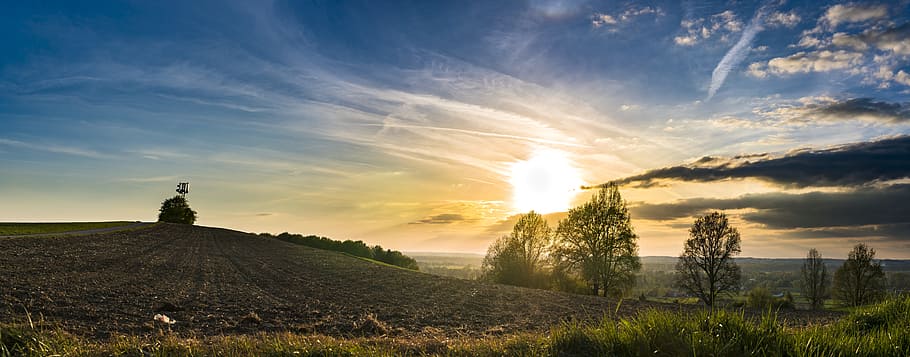 Green Leafed Trees, calm, clouds, countryside, dawn, dusk, field HD wallpaper