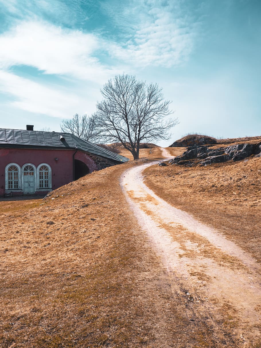 bare tree near house, road, gravel, dirt road, ground, outdoors HD wallpaper