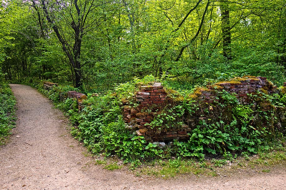 park, footpath, wall, vegetation, tree, spring foliage, green spring HD wallpaper