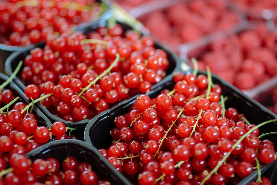 cherry fruit lot on black container, produce, flora, food, plant HD wallpaper