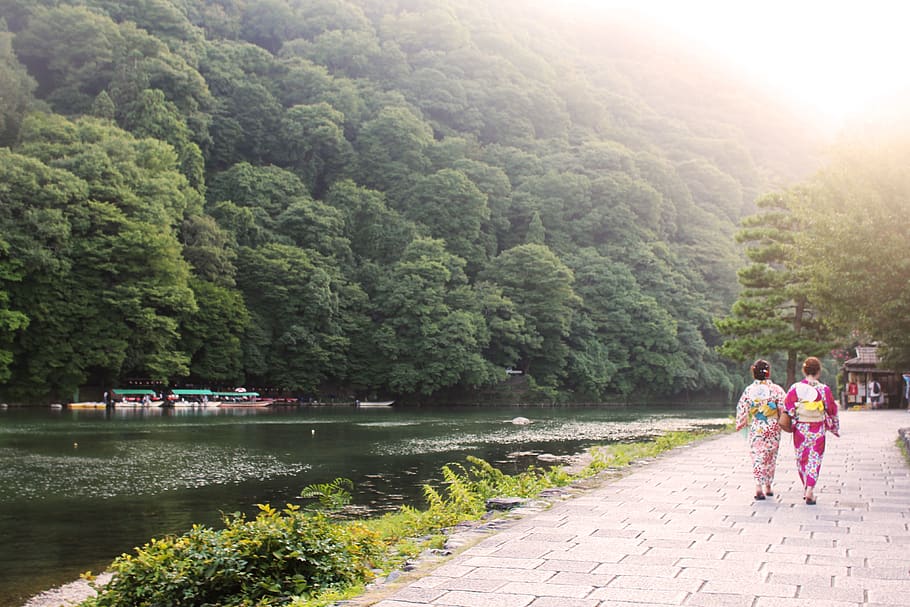 trip, vacation, river, tree, asium, exotic, travel, summer HD wallpaper
