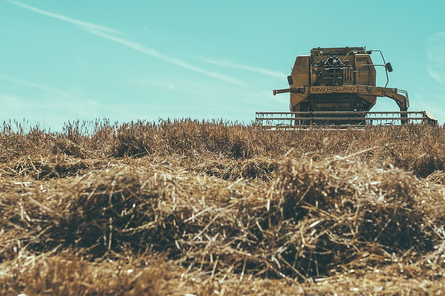 combine harvester under blue sky, nature, outdoors, countryside HD wallpaper