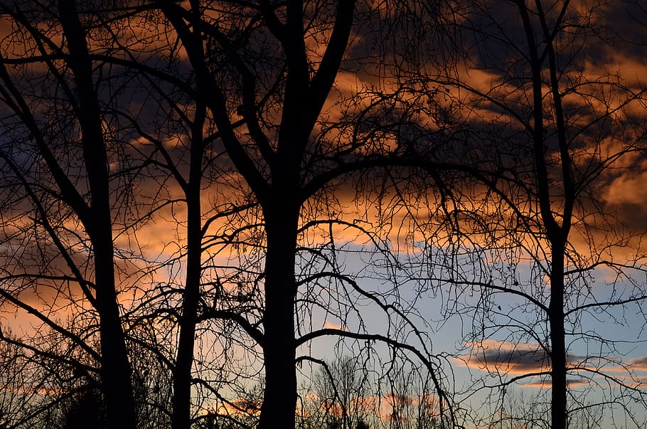 sunset, storm, trees, sky, nature, dusk, clouds, moody, silhouette HD wallpaper
