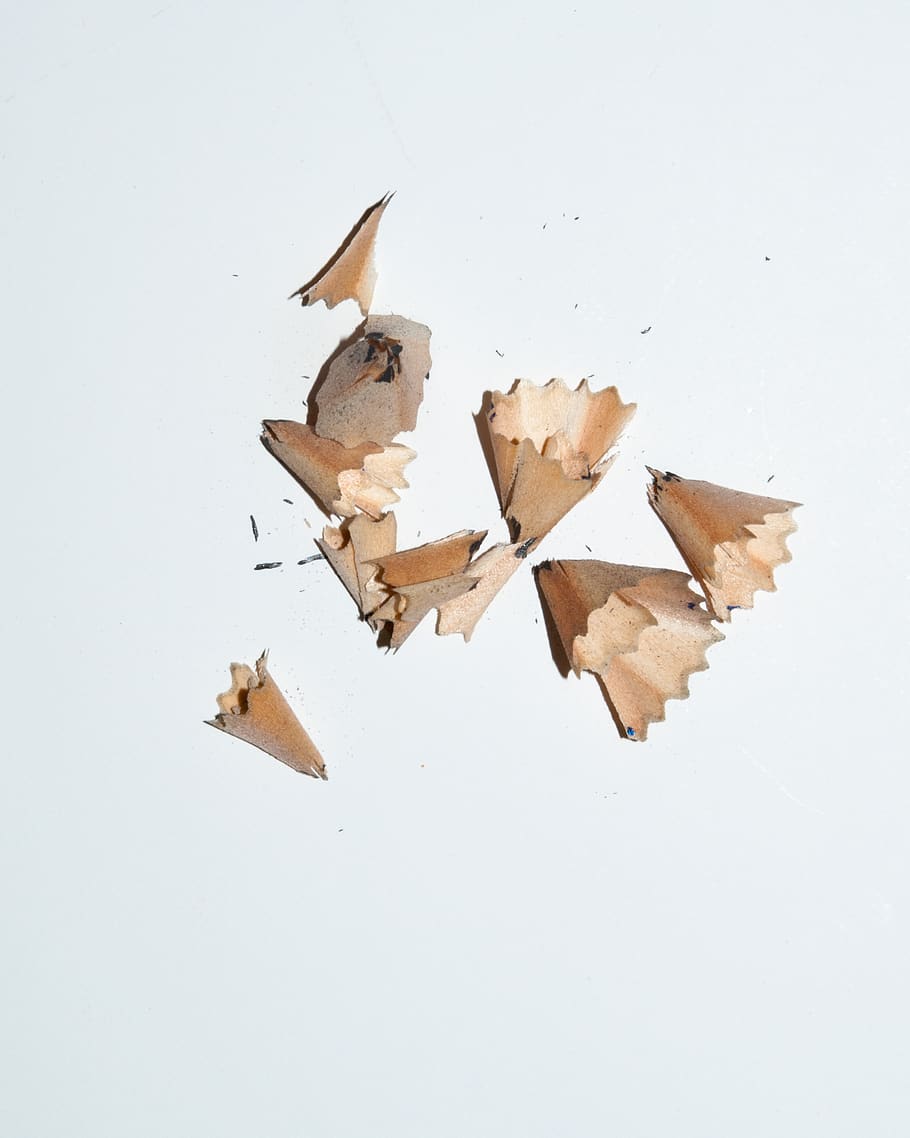 brown pencil peel, bird, animal, wood, vehicle, transportation HD wallpaper