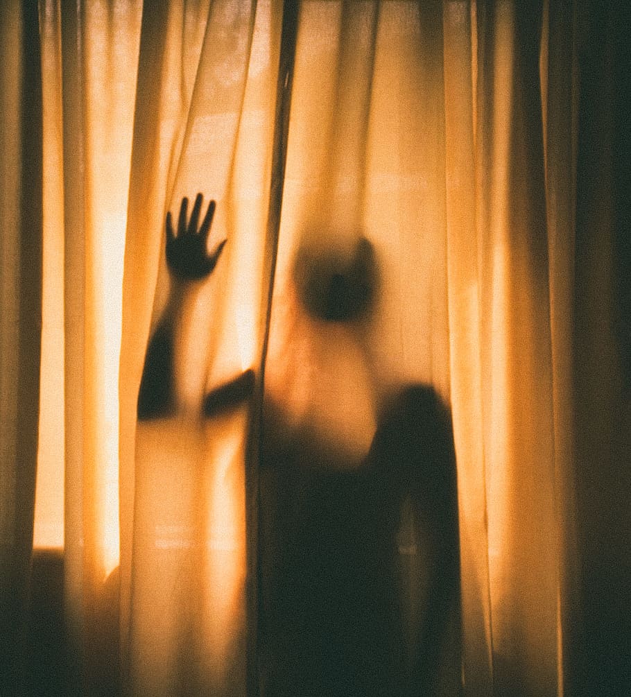 woman hiding behind of curtain, person, orange, light, silhouette, HD wallpaper