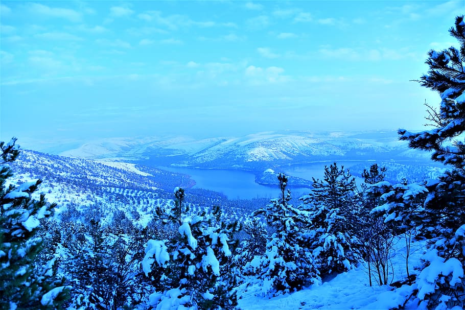 snow, winter, cold, white, nature, forest, ice, mountains, trees HD wallpaper