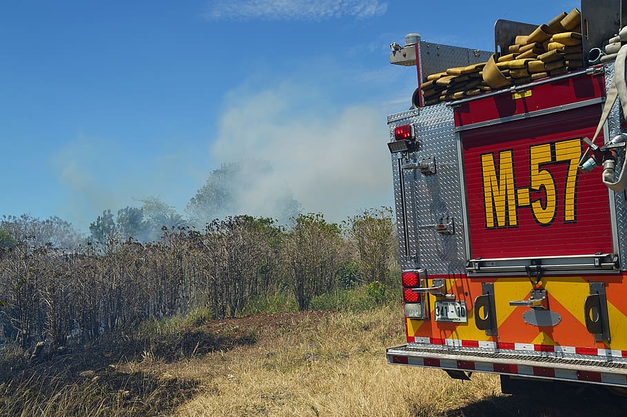 fire, forest, smoke, unit, machine, truck, hoses, vegetation HD wallpaper