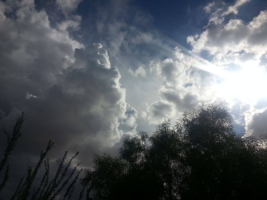 desert, clouds, sky, god ray, sun, tree, cloud - sky, plant HD wallpaper