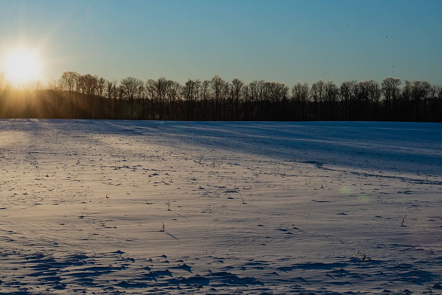sunset, sunburst, winter, snow, snow covered field, trees, clear sky HD wallpaper