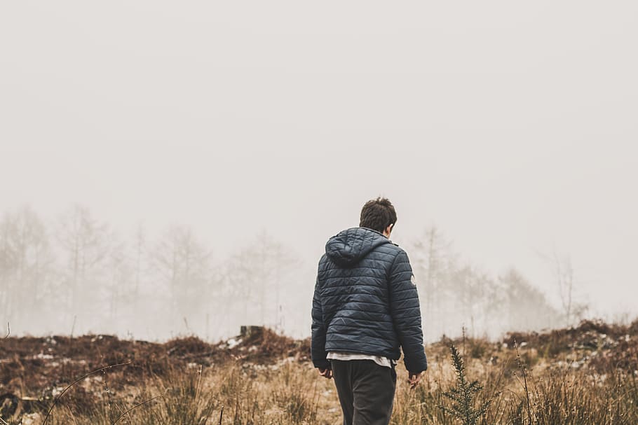 Man Wearing Blue Bubble Jacket, daylight, environment, fog, grass HD wallpaper