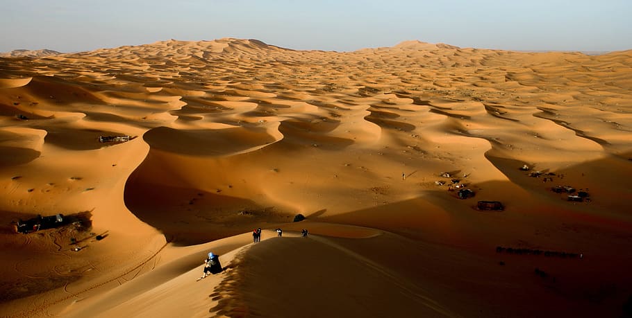people in desert, sand, outdoors, soil, nature, dune, sahara desert HD wallpaper