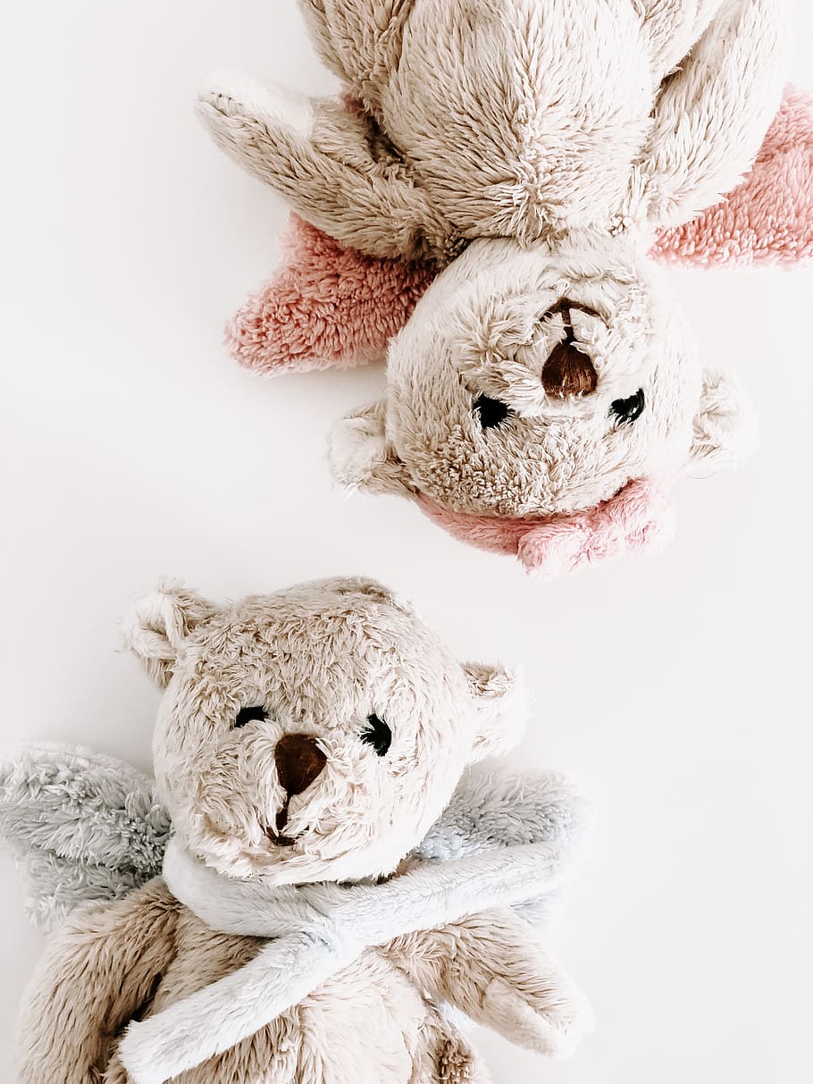 two brown bear plush toys on white surface, stuffed toy, teddy bear HD wallpaper