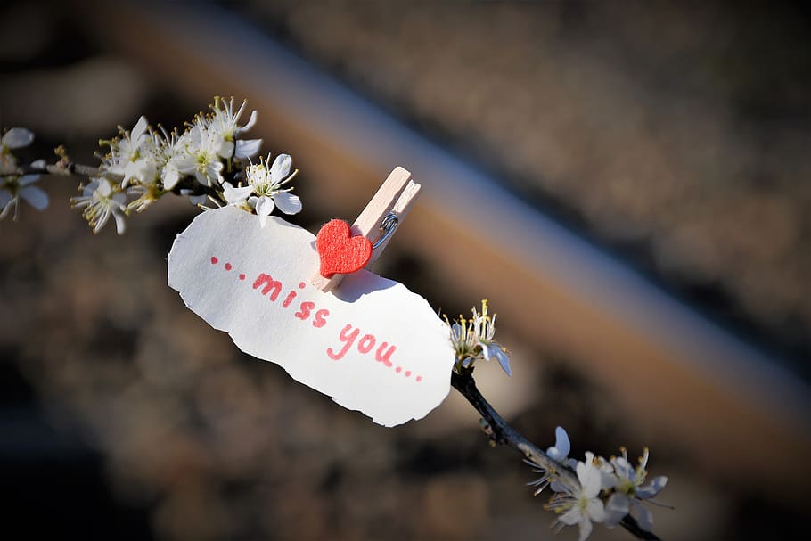 message, to lost love, red heart, rail, remembering, missing, HD wallpaper