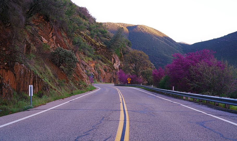 road, highway, asphalt, tarmac, slope, outdoors, tree, abies, HD wallpaper