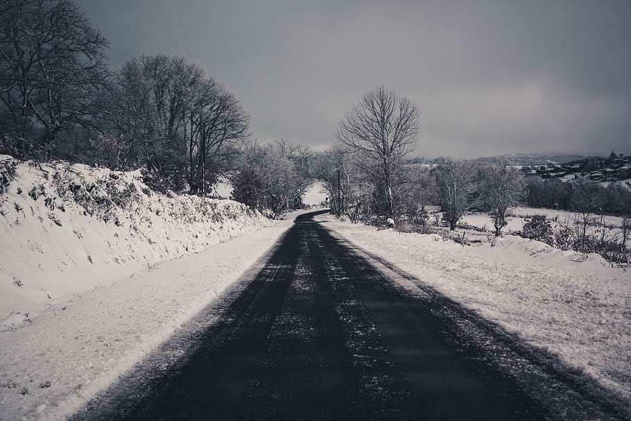 snow, winter, trees, road, path, village, country, drive, roadtrip HD wallpaper