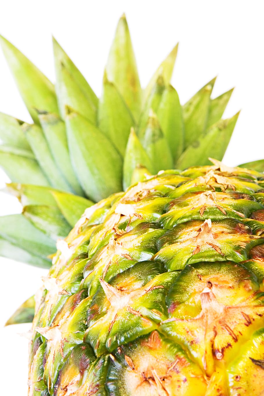 pineapple, ananas, close-up, closeup, diet, dieting, eating HD wallpaper