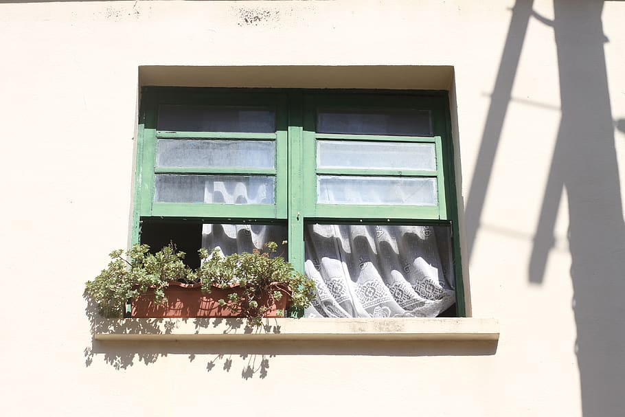 three potted plants on window pane, home decor, fireplace, indoors HD wallpaper