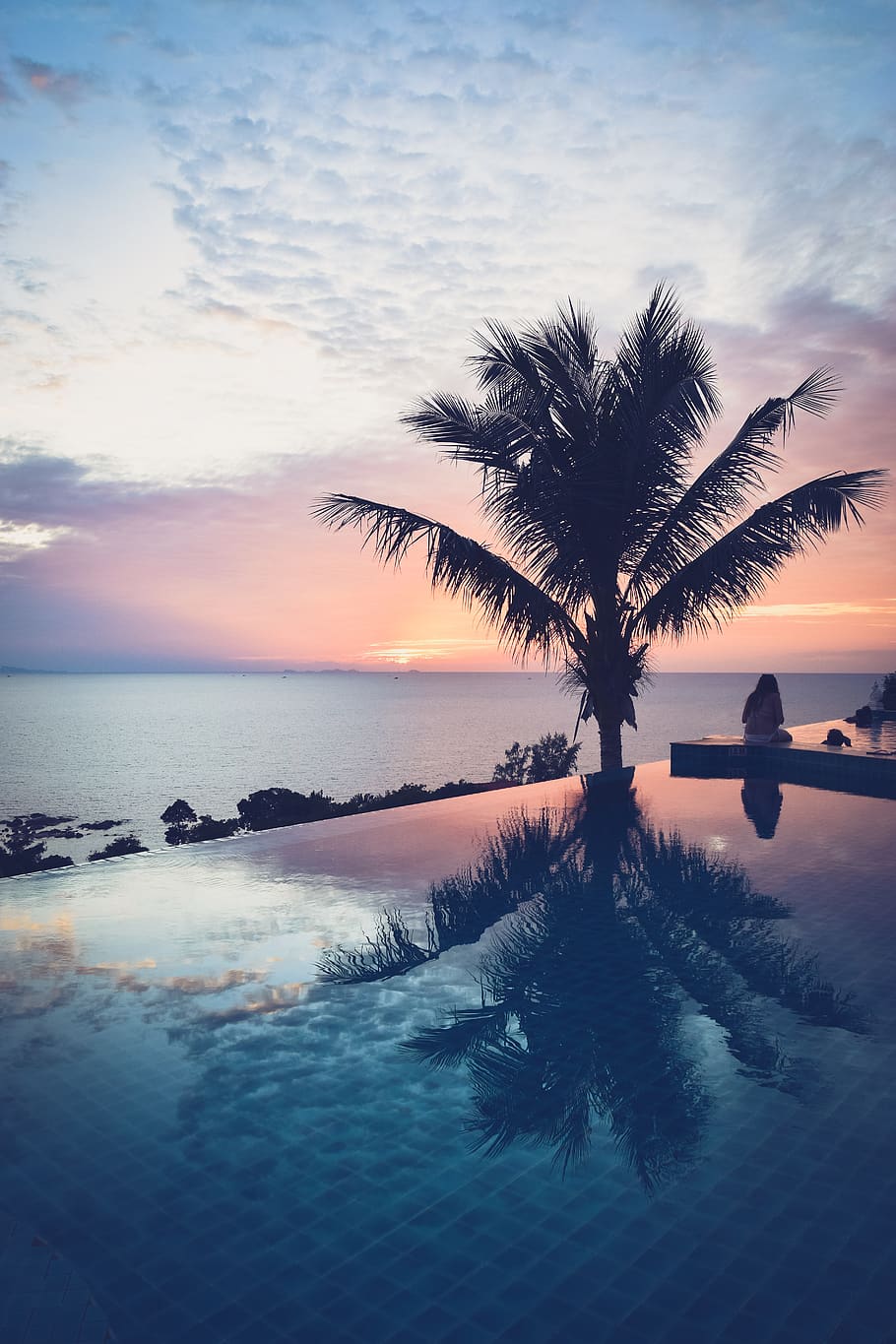 sunset, pool, palm, pink, red, blue, mirror, sky, nature, water HD wallpaper