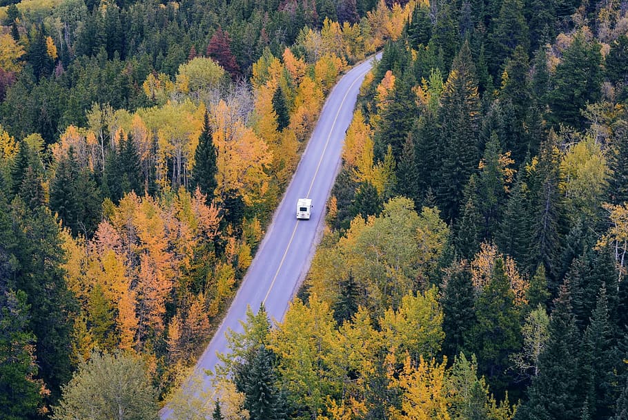 aerial view of vehicle traveling in road, tree, fall, car, forest HD wallpaper